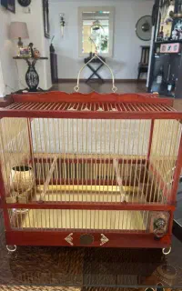 قفس    دست ساز سهره  قناری