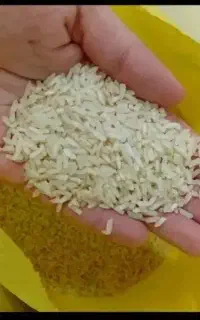 برنج چمپاوفجر معطر