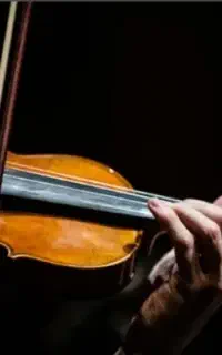 ویولن