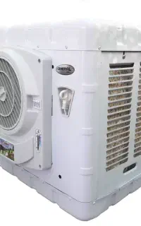 کلر آبی کم کار کرد 3100