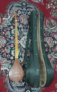 سه تار حرفه ای کاسه گردو همراه هارد کیس