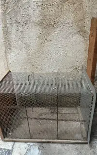 تله گربه گیر  بزرگ