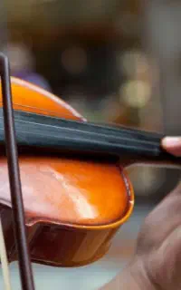 تدریس خصوصی ویلن