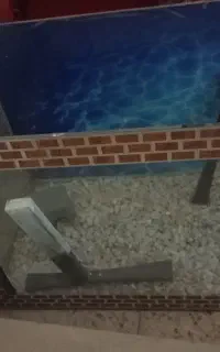 آکواریوم
