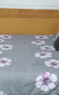 تختخواب در حد نو