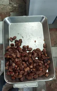خرمای کلوته زرد