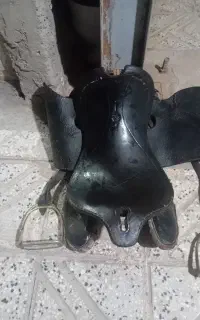 زین بختیاری