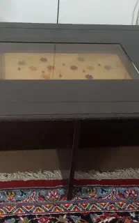 میز عسلی و جلو مبلی