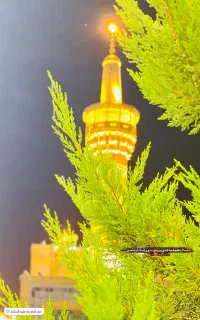 سفر زیارتی مشهد مقدس حرکت سه روز دیگه