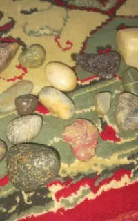 سنگ راف