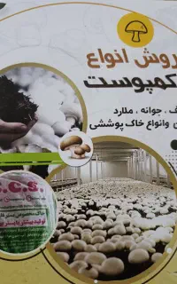 کمپوست قارچ
