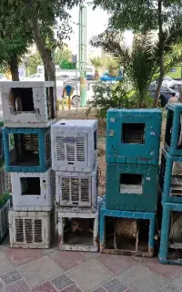 سیم پیچی کلیه کولرهای آبی