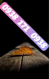 سیمکارت ایرانسل دائمی