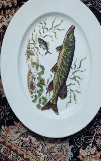 دیس قدیمی . اصل آلمان. بسیار زیبا و چشم نواز
