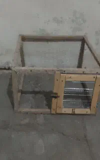 قفس مرغ و خروس کفتر