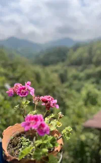 همکار برای اقامتگاه بومگردی واشپز