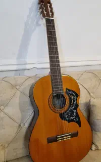 گیتار C40 تمیز