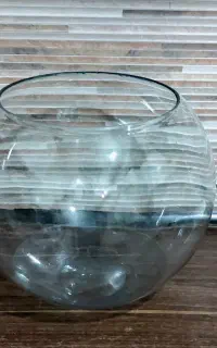 تنگ شیشه ای