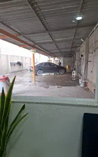 نیروی کارواش حرفه ای