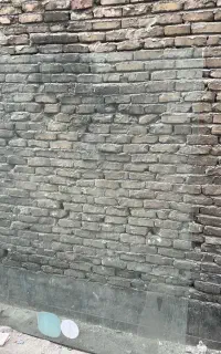 شیشه