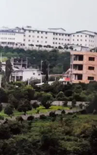 شیرگاه ،  جاده نظامی ،مشارکت یا فروش ، دو نبش