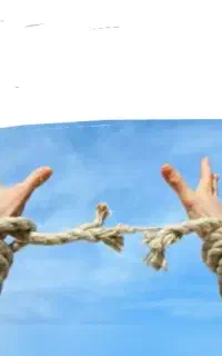 کاملا گیاهی بدون بستری ترک کن مناسب شاغلین