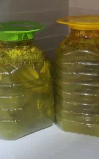 فروش خیارشور درجه یک