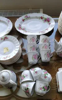 ظروف چینی