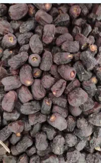 خرید ضایعات خرما کده