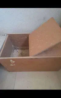 جعبه تخم گذاری پرنده