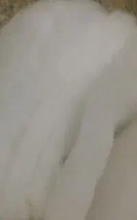 الیاف و خرده پشم شیشه