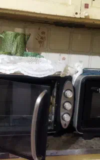 دوعدد ماکروفر کارکرده