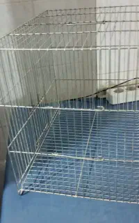 قفس پرنده