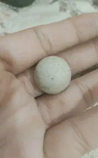 مهره