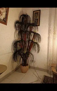 درخت نخل ۹شاخه ای باگلدون حصیری