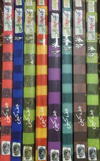 مجموعه کتاب خاطرات یک بچه چلمن