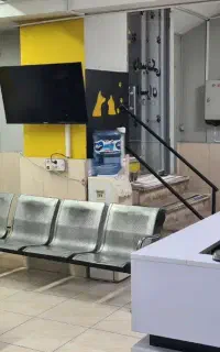 استخدام مسئول پذیرش کلینیک دامپزشکی