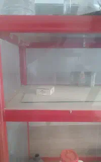 ویترین مغازه