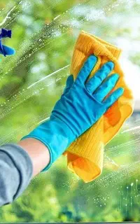 خدمات نظافت پاکیزه