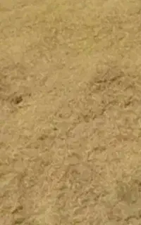 فروش کاه