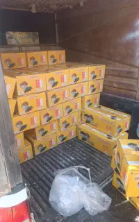 کشمش و گله