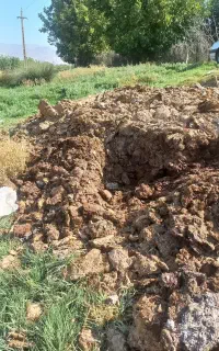 کود حیوانی گوسفندی در الشتر