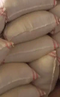 کاه گندم