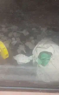 آکواریوم