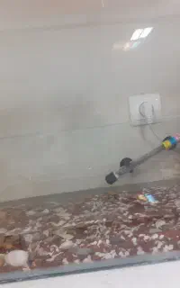 آکواریوم