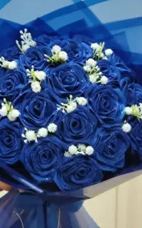 گل روبانی /گل جاویدان /دسته گل پروانه ای/پول ارایی