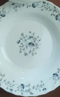 بشقاب خورشت خوری