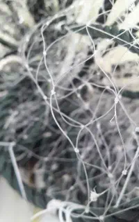 ماهیگیری