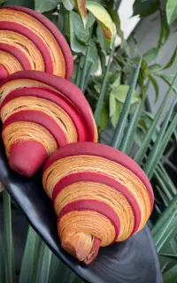 اموزش تخصصی کروسان/لایه ای/نان حجیم و اروپایی