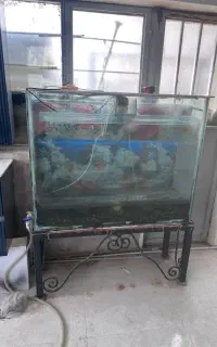 اکواریوم بزرگ با میز